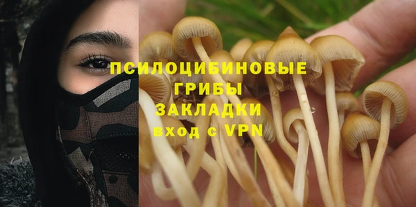 а пвп мука Абдулино