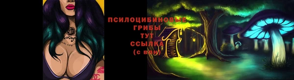 мет Абаза