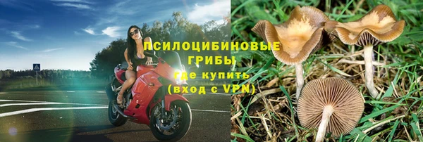 твердый Осташков