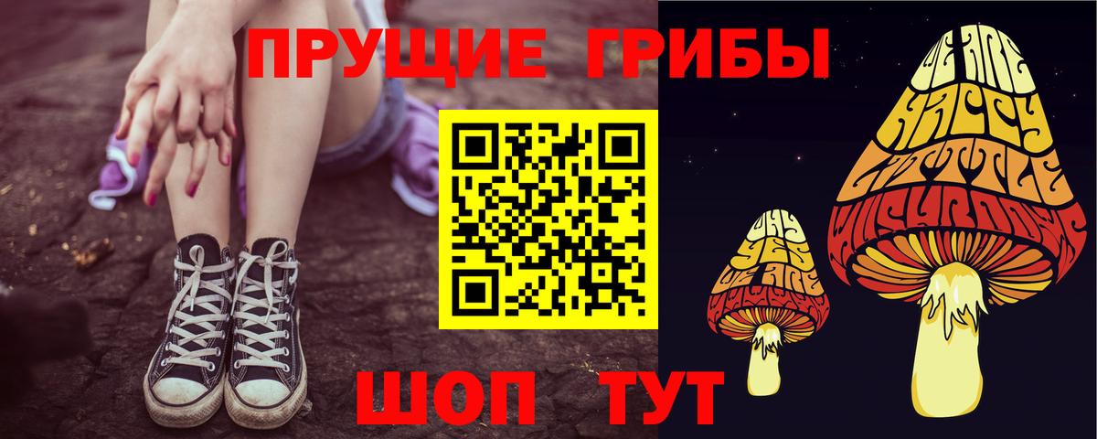 Псилоцибиновые грибы GOLDEN TEACHER Троицк