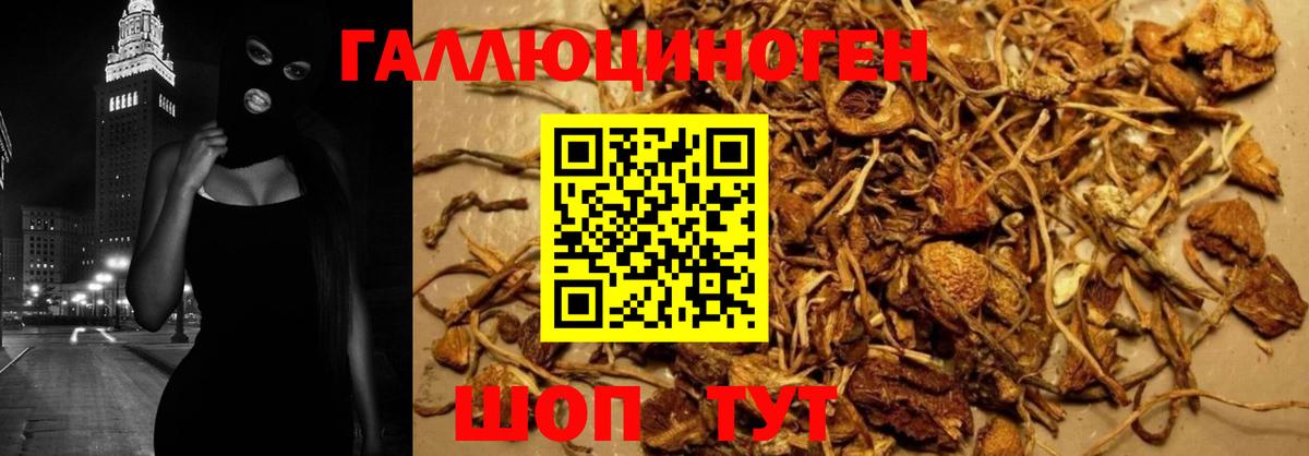 Троицк  как найти   Вход с VPN  Псилоцибиновые грибы Magic Shrooms  Галлюциногенные грибы ЛСД 