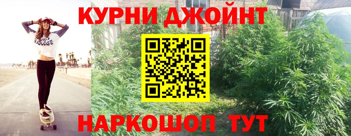 Марихуана сатива Троицк